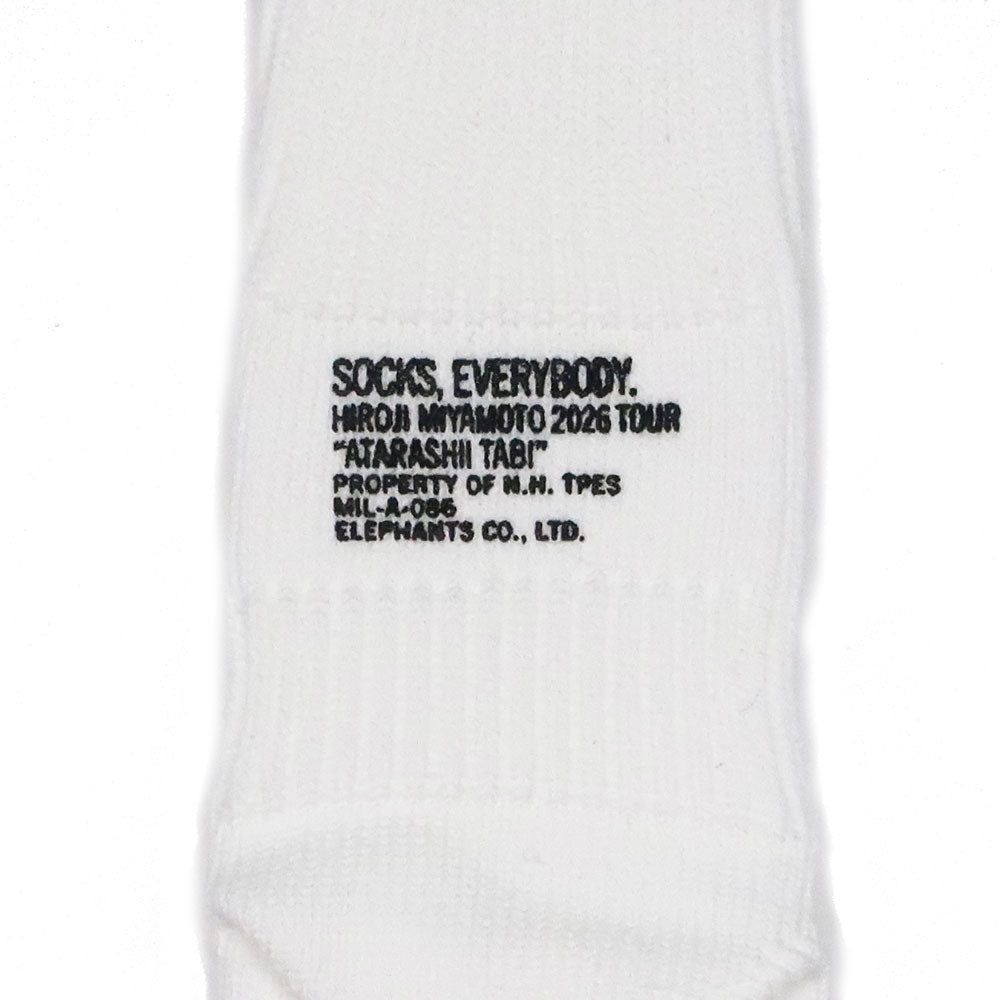 新しい旅][宮本浩次×N.HOOLYWOOD]ソックス / ホワイト（2026年1月下旬